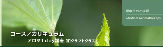 A}1ayu